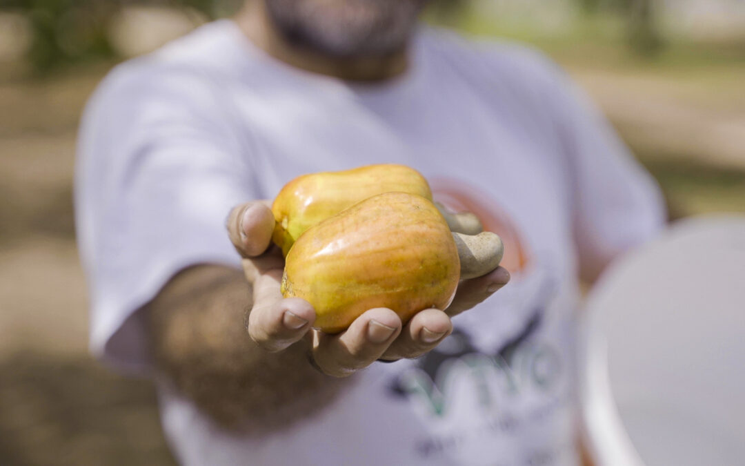 Escola de Gastronomia Social abre processo seletivo para bolsas de incentivo à pesquisa em cultura alimentar e gastronomia social